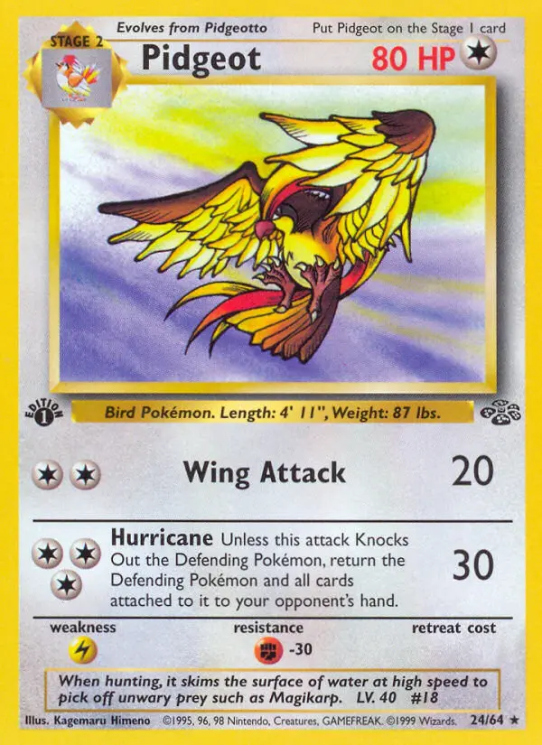 Pidgeot #24 — Jungle