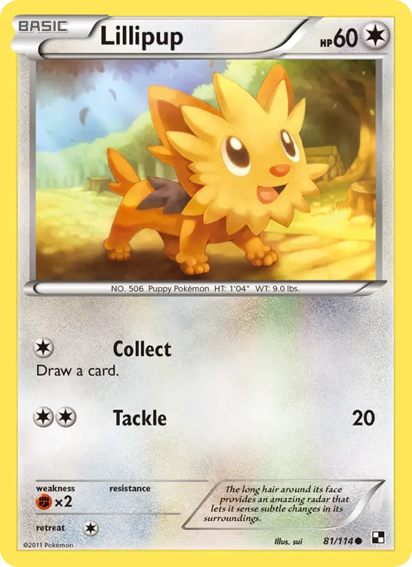 Lillipup #81 — Black & White