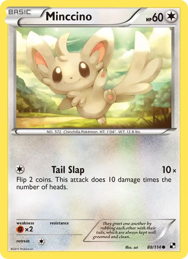 Minccino #88 — Black & White