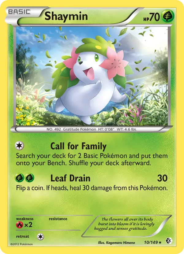 Shaymin #10 — Boundaries Crossed