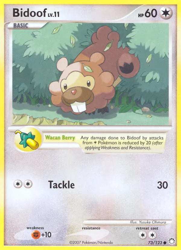 Bidoof #73 — Mysterious Treasures