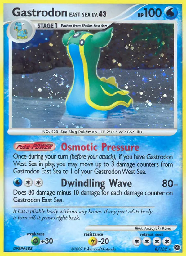 Gastrodon East Sea #8 — Secret Wonders