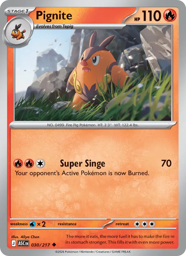 Pignite #030 — Ascended Heroes