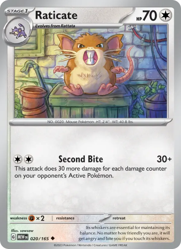 Raticate #020 — 151