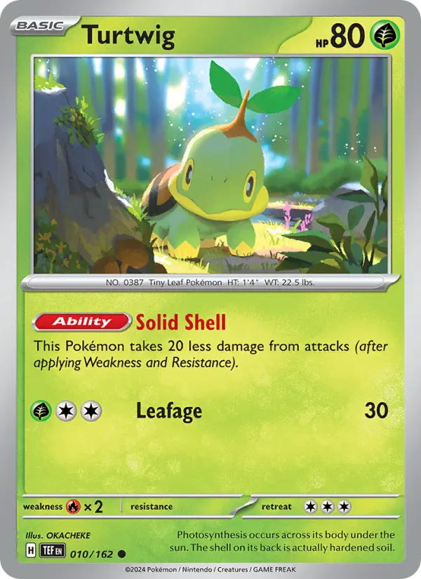 Turtwig #010 — Temporal Forces