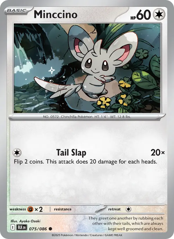 Minccino #075 — Black Bolt