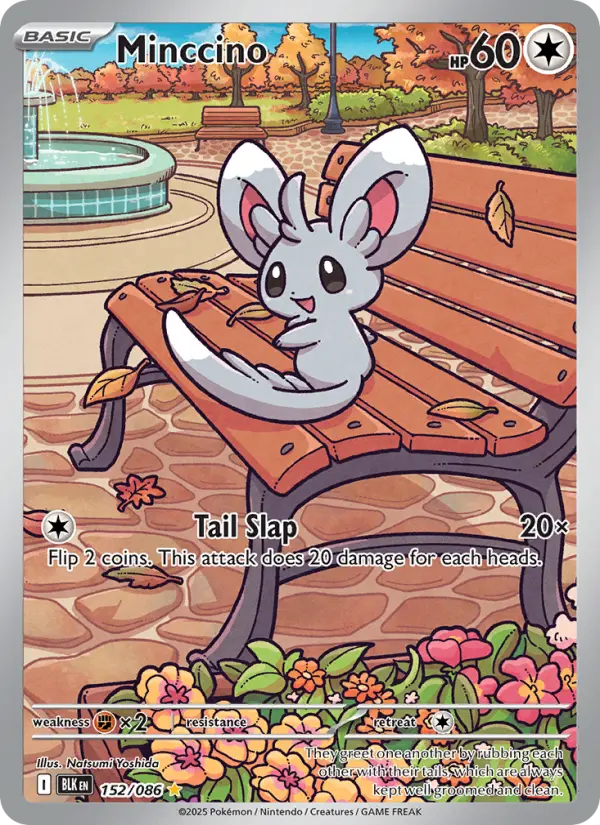 Minccino #152 — Black Bolt