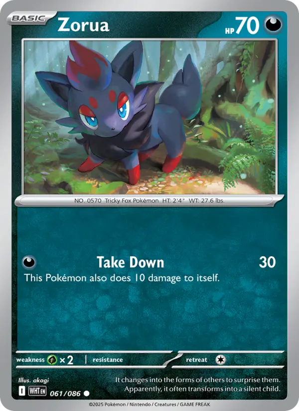 Zorua #061 — White Flare