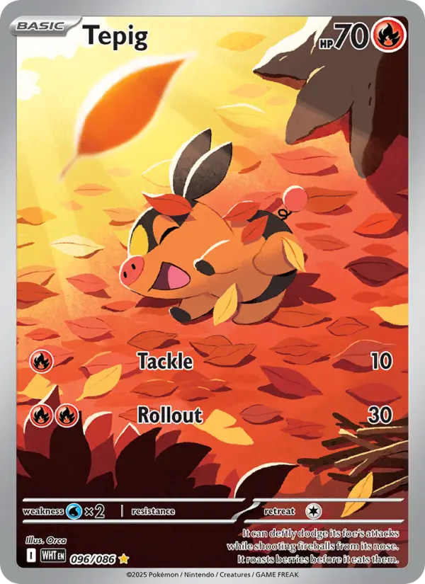 Tepig #096 — White Flare