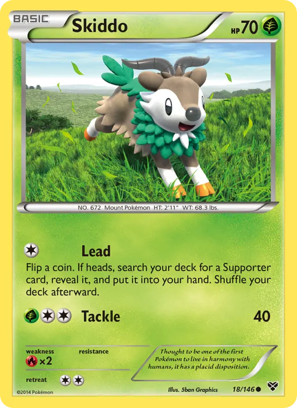Skiddo #18 — XY