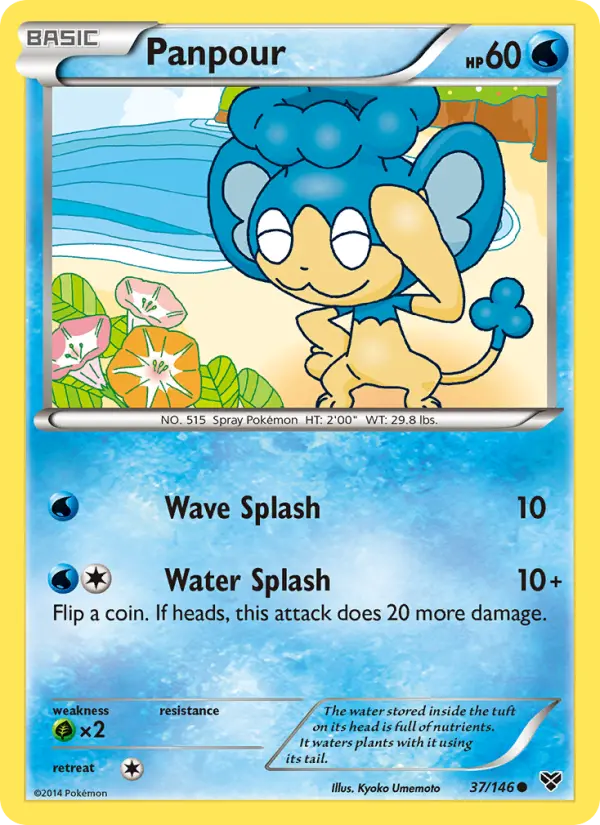 Panpour #37 — XY