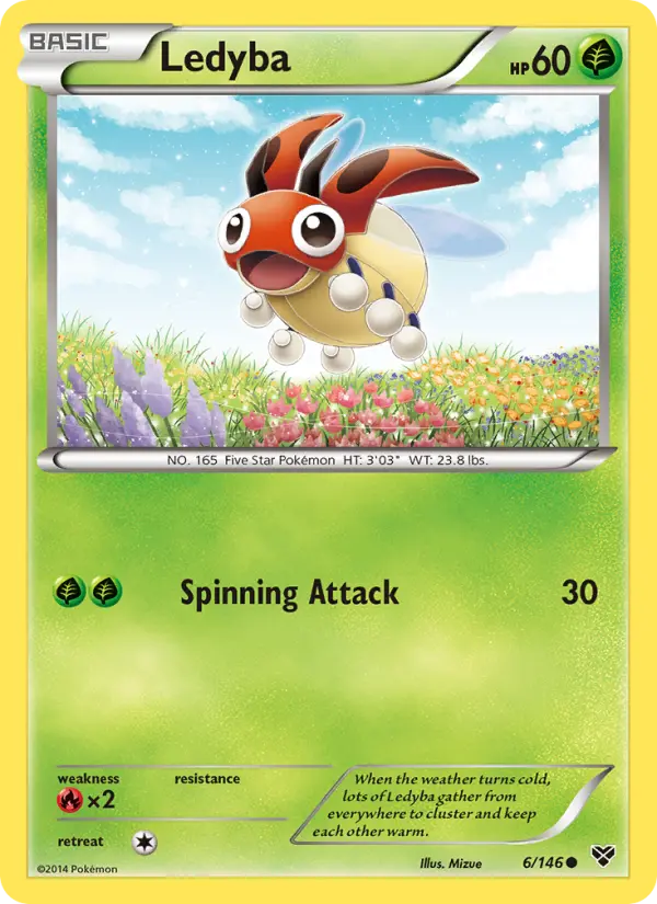 Ledyba #6 — XY