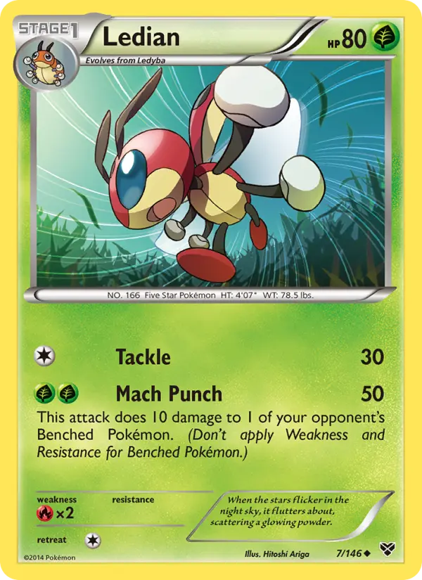 Ledian #7 — XY
