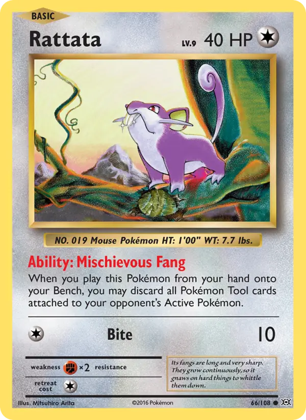 Rattata #66 — Evolutions