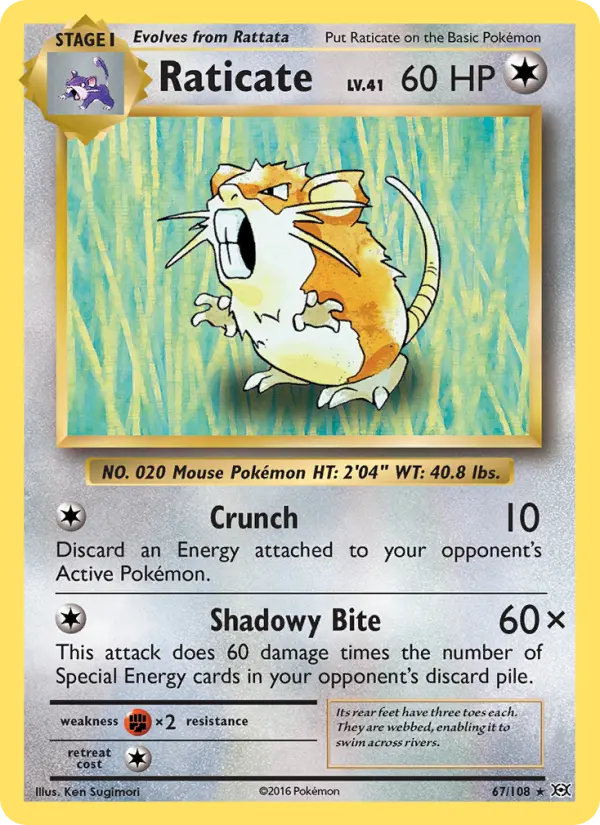 Raticate #67 — Evolutions