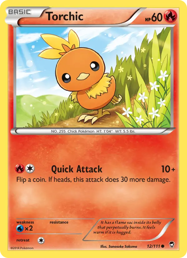 Torchic #12 — Furious Fists