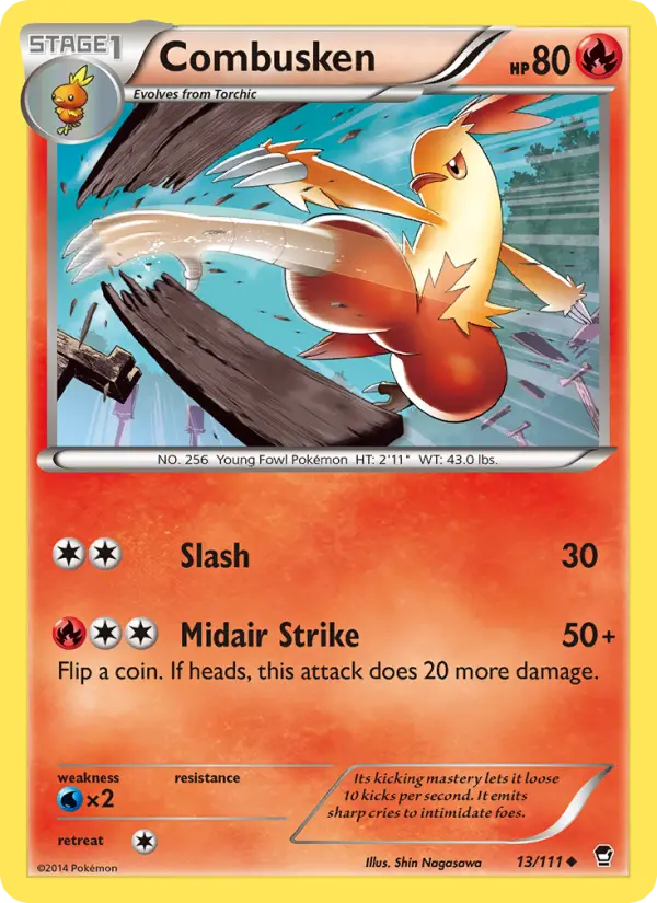 Combusken #13 — Furious Fists