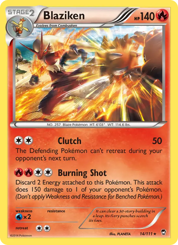 Blaziken #14 — Furious Fists