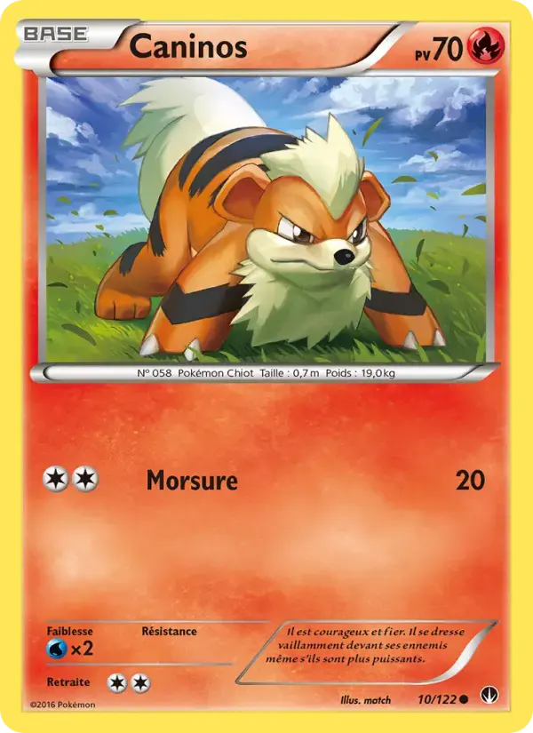 Carte Pokémon Caninos #10 — Rupture Turbo