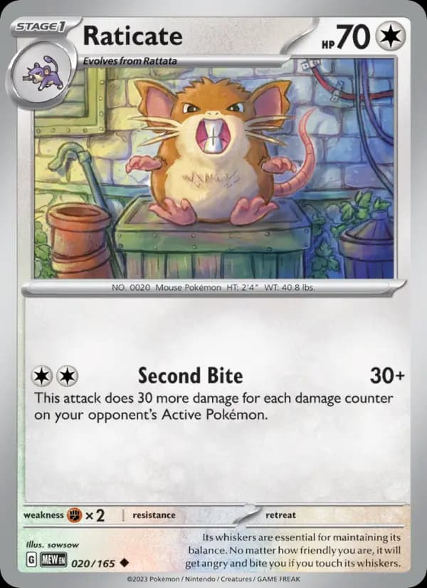 Raticate #020 — 151