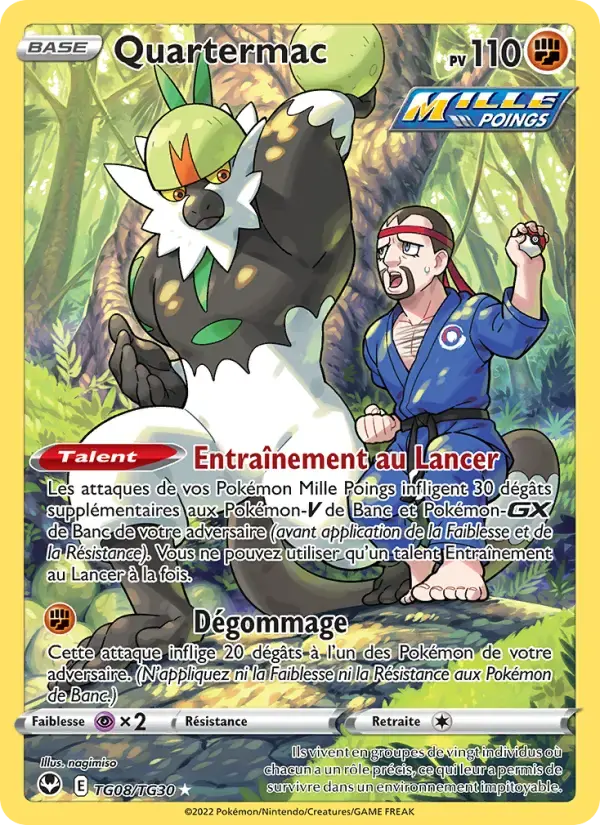 Carte Pokémon Quartermac #TG08 — Tempête Argentée