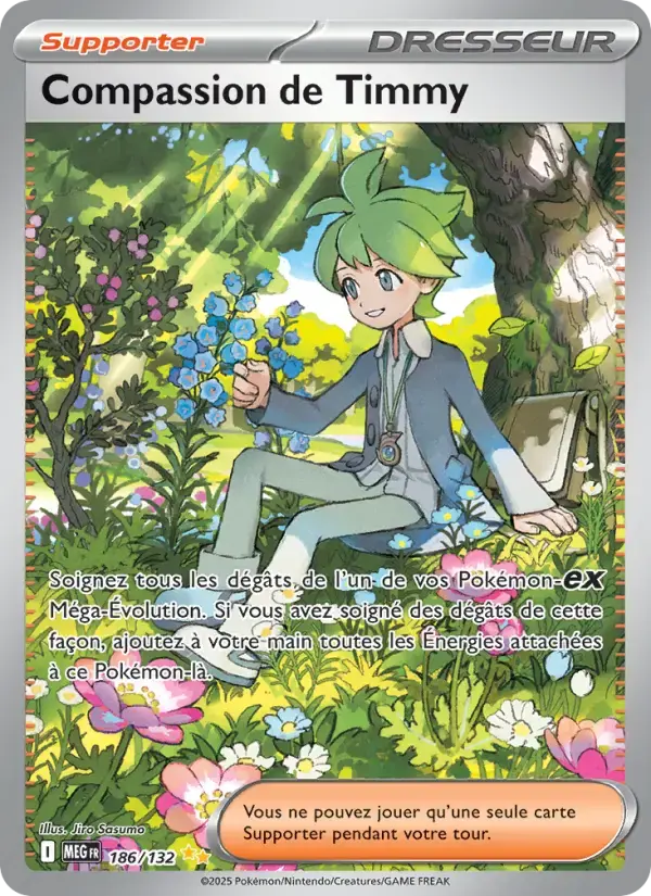 Carte Pokémon Compassion de Timmy #186 — Méga-Évolution