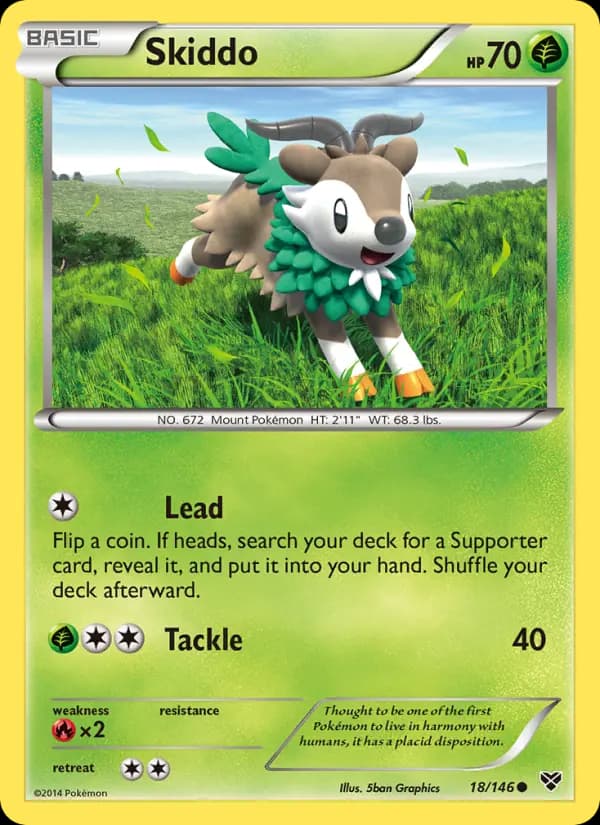 Skiddo #18 — XY