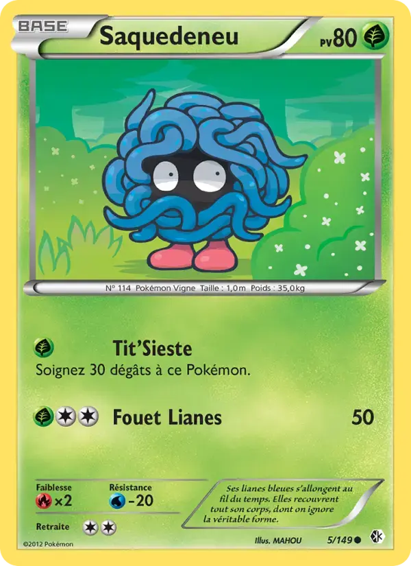 Carte Pokémon Saquedeneu #5 — Frontières Franchies