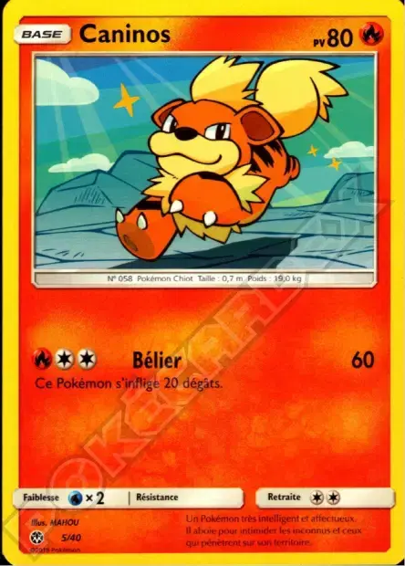Carte Pokémon Ramoloss #5 — 2018 Promo McDonald's International