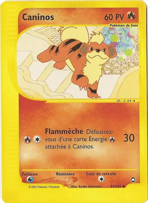 Carte Pokémon Caninos #51 — Aquapolis