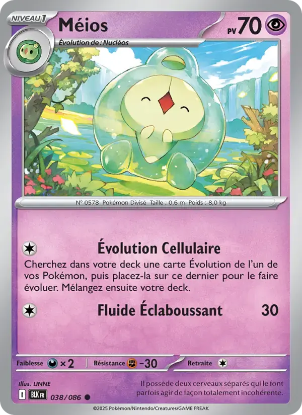 Carte Pokémon Méios #038 — Foudre Noire