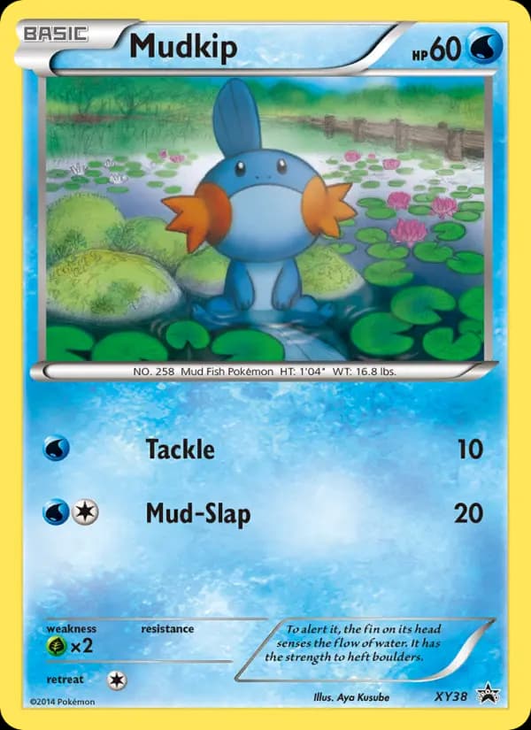 Mudkip #XY38 — XY Promos