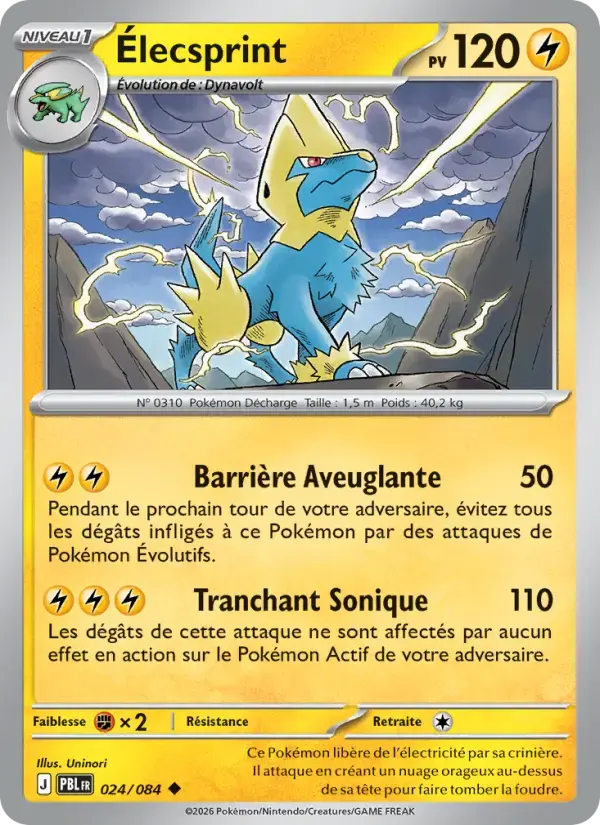 Carte Pokémon Élecsprint #024 — Nuit Noire