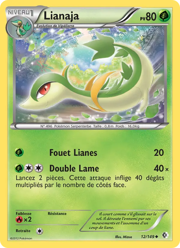 Carte Pokémon Lianaja #12 — Frontières Franchies
