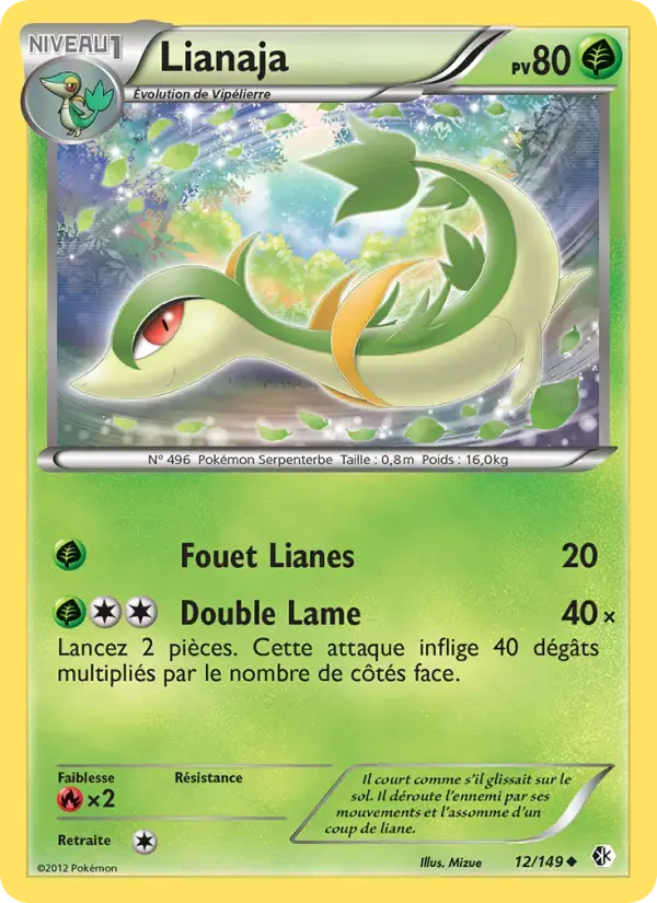 Carte Pokémon Lianaja #12 — Frontières Franchies