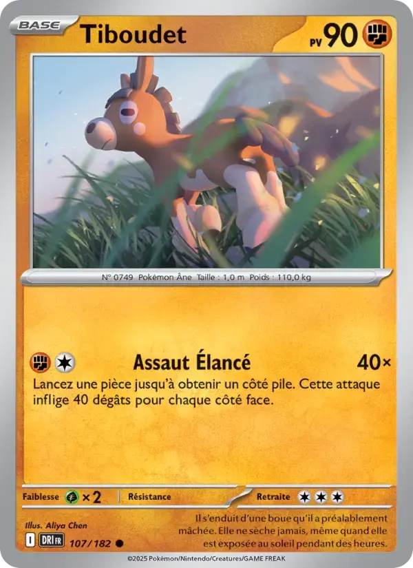 Carte Pokémon Tiboudet #107 — Rivalités Destinées