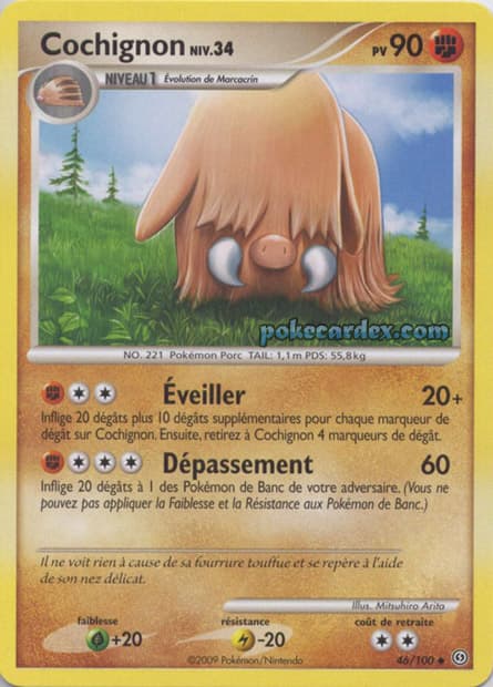 Carte Pokémon Cochignon #46 — Tempête