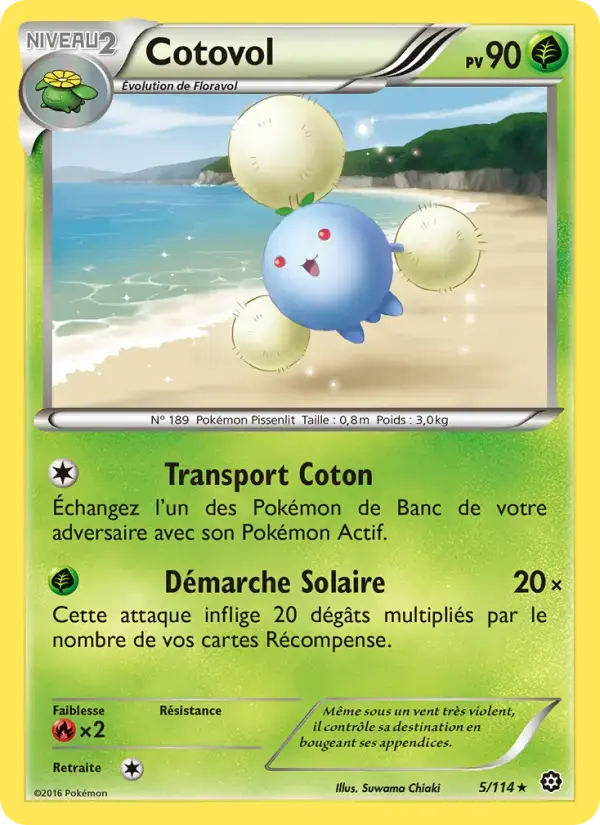 Carte Pokémon Cotovol #5 — Offensive Vapeur