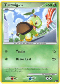 Turtwig #17 — POP 6