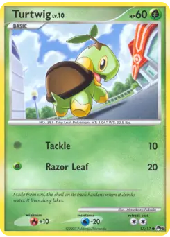 Carte Pokémon Tortipouss #17 — POP 6