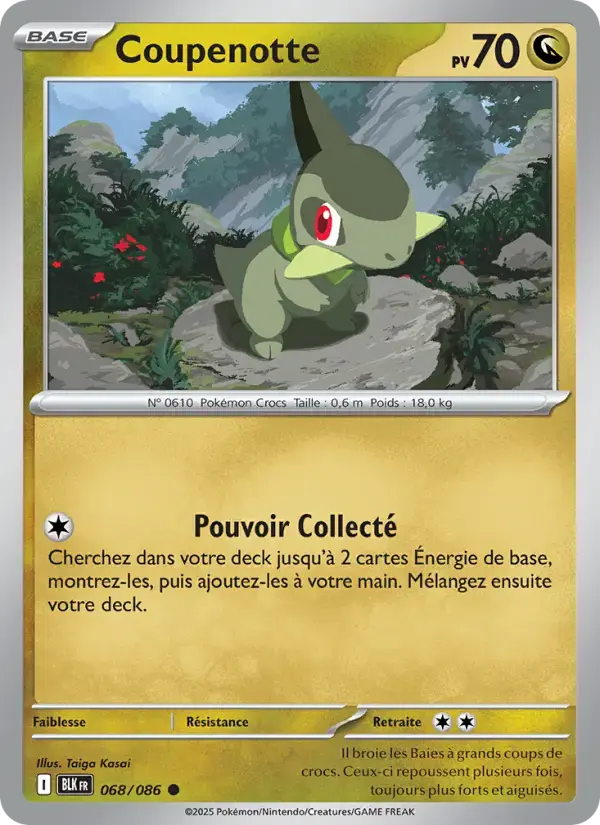 Carte Pokémon Coupenotte #068 — Foudre Noire