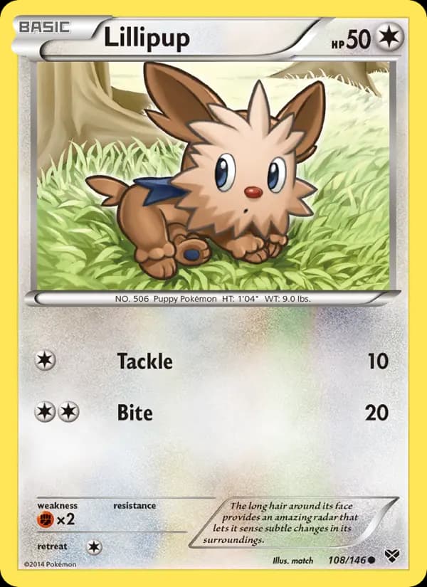 Lillipup #108 — XY