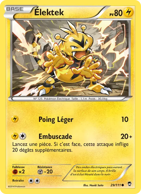 Carte Pokémon Élektek #29 — Poings Furieux