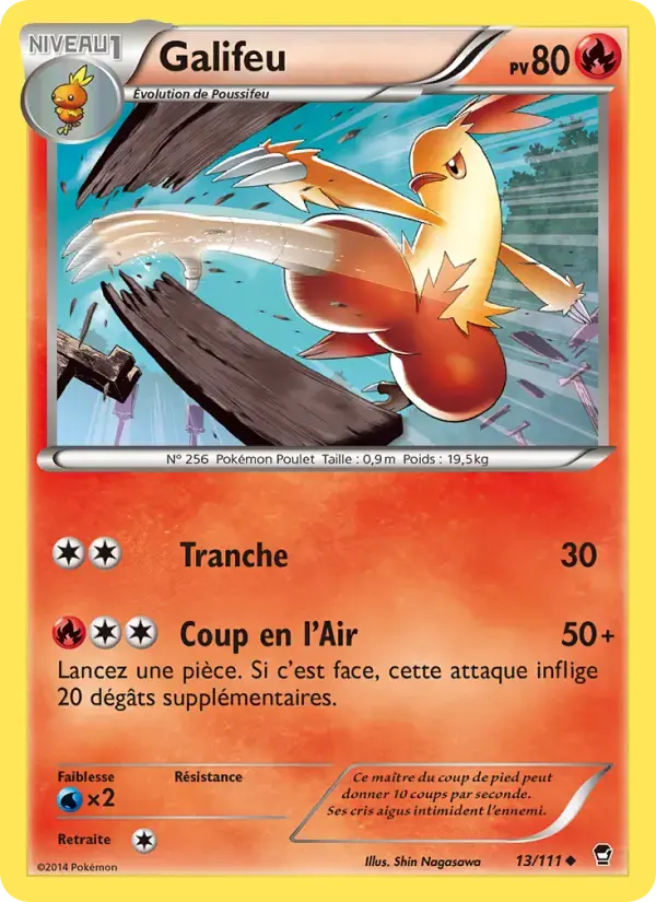 Carte Pokémon Galifeu #13 — Poings Furieux