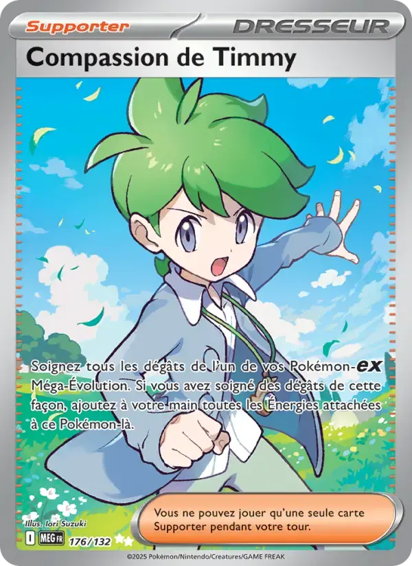 Carte Pokémon Compassion de Timmy #176 — Méga-Évolution