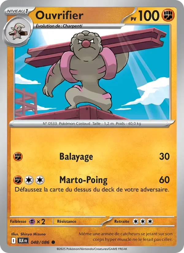 Carte Pokémon Ouvrifier #048 — Foudre Noire