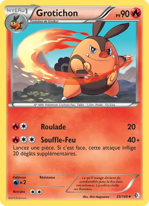 Carte Pokémon Grotichon #25 — Frontières Franchies