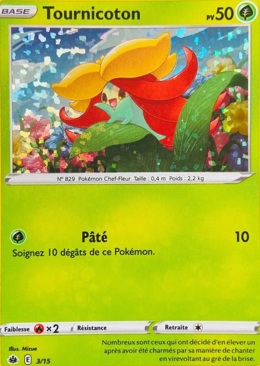 Carte Pokémon Tournicoton #3 — 2022 Promo McDonald's