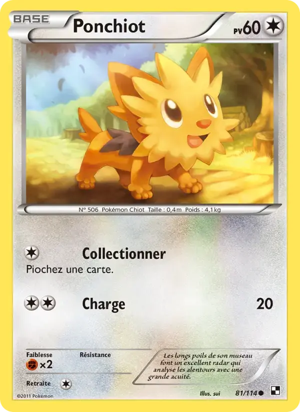 Carte Pokémon Ponchiot #81 — Noir et Blanc
