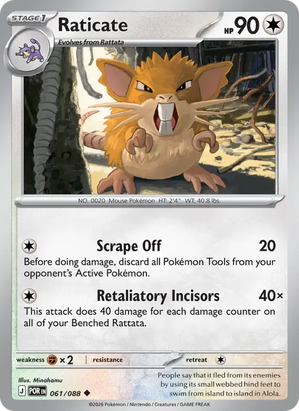 Raticate #061 — Perfect Order